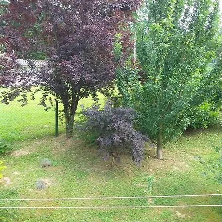 Dalmatinka Gornja Toplica